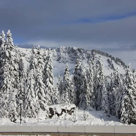 Au Sommand Au Pied Des Pistes *