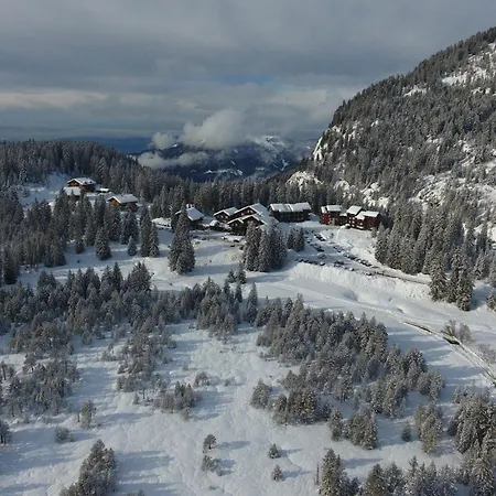Au Sommand Au Pied Des Pistes