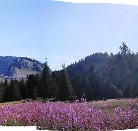 Au Sommand Au Pied Des Pistes *